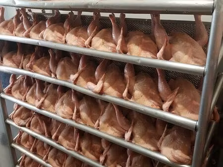 boucherie - abattoir de volailles
