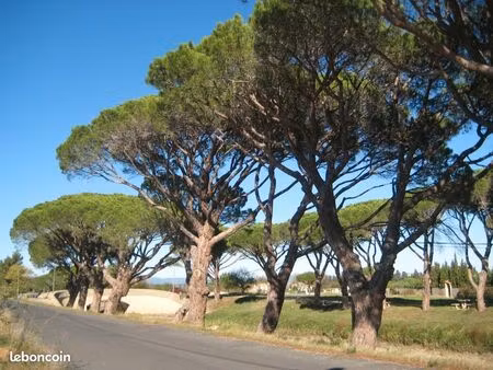 terrain 400 m² salleles d aude