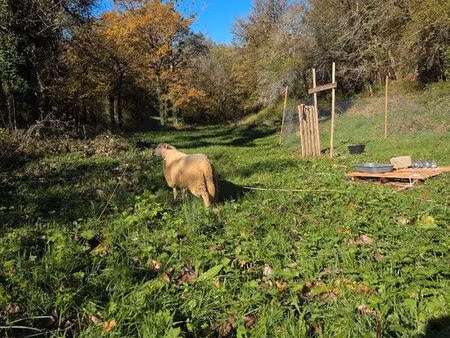 terrain agricole 2800m2