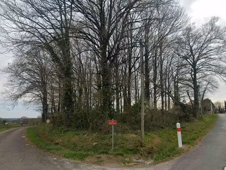 terrain constructible