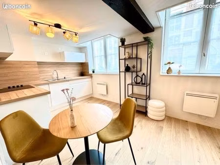 appartement en duplex à louer (vieux lille)