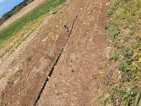 terrain agricole 5376m²