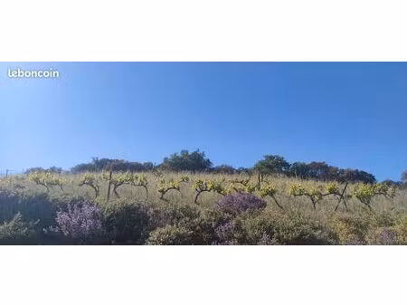 terrain saint tropez