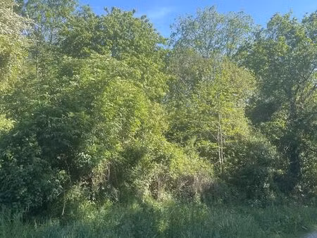 terrain 3200 m² chalonnes-sur-loire