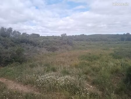 location terrain agricole 1.59 hectare