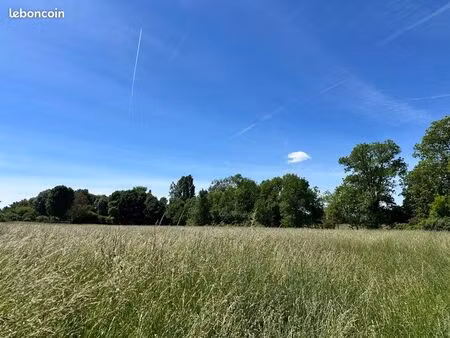 terrain pour animaux