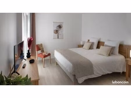 appartement 1 pièce 45 m²