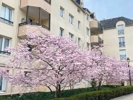 appartement 4 pièces 82 m²