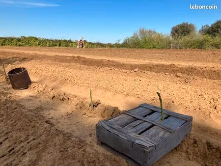 recherche terrain agricole ou corps de ferme
