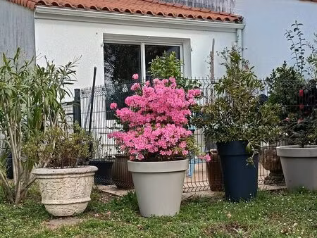 appartement style maison