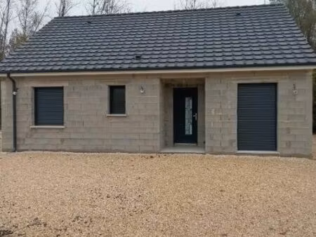 vente maison individuelle