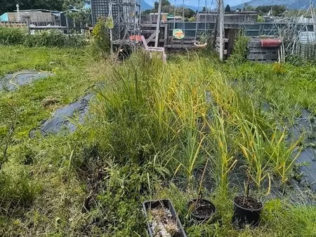 jardin a louer avec eau comprise