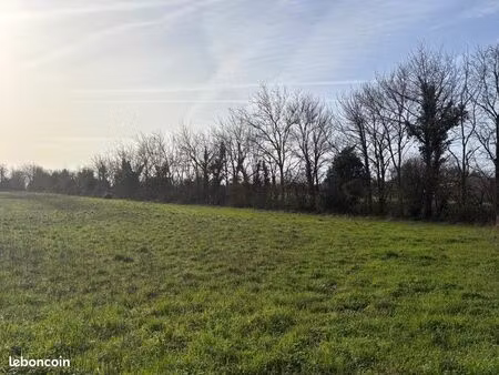 terrain 305 m² saint rogatien