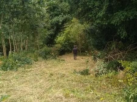 terrain avec batiment