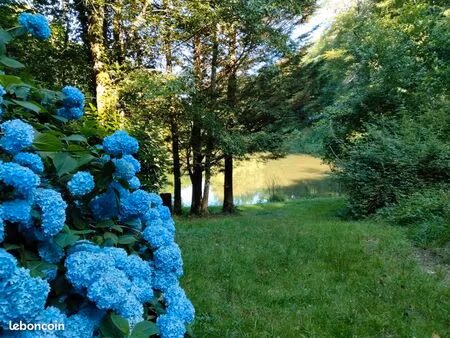 terrain avec étang