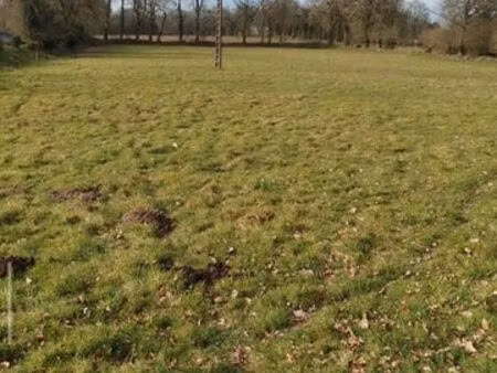 terrain 10500m2