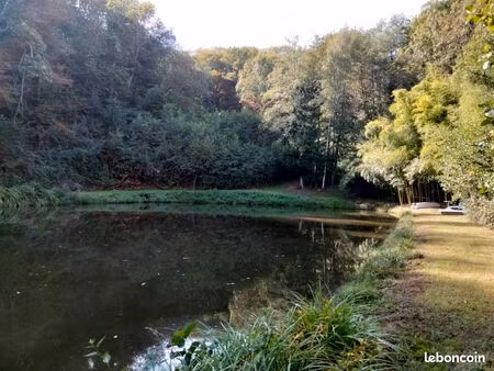 terrain avec étang