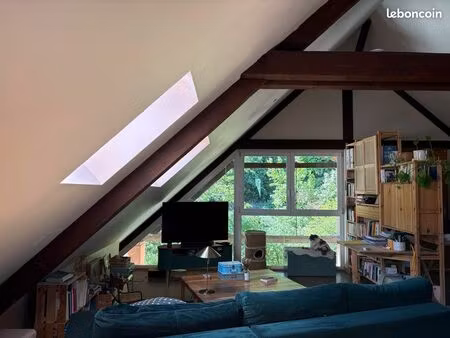 vente appartement/loft atypique avec jardin - cv montbéliard