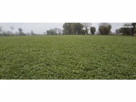 terrain agricole