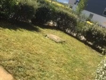 t2 rez de jardin