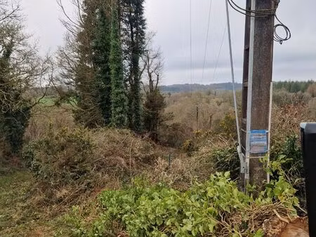 forêt