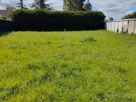 terrain constructible viabilisé