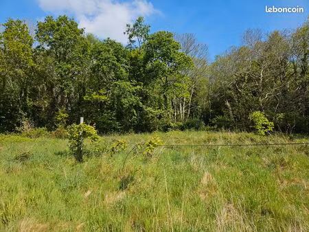 terrains 3 1 ha – parcelle agricole et parcelle zone boisée classée en lot – compteur eau 