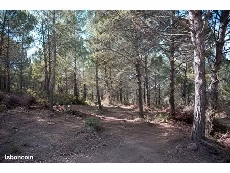 recherche terrain de loisirs ou agricole