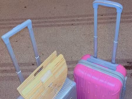 2 pièces - appartement strasbourg bonjour  je recherche urgemment un appartement ( f2) si 