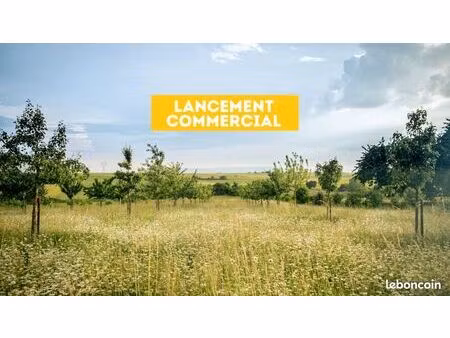 terrain 346 m² schwobsheim