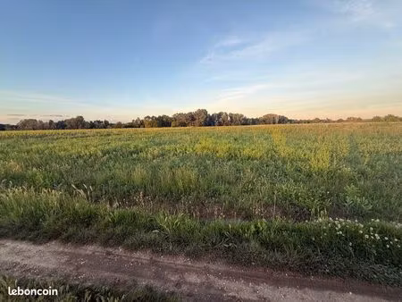 terrain agricole