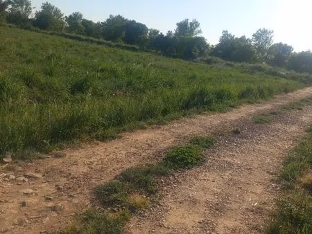 terrain agricole