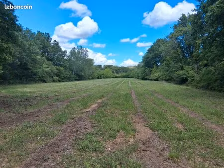 terrain agricole