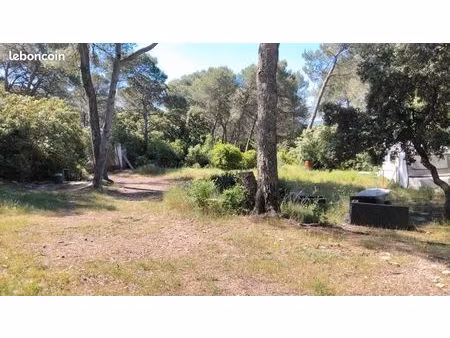 maison terrain arboré