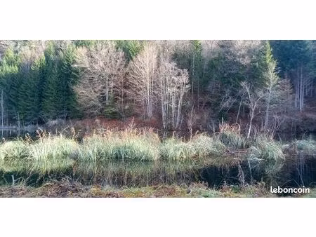 terrain de loisir avec arbres