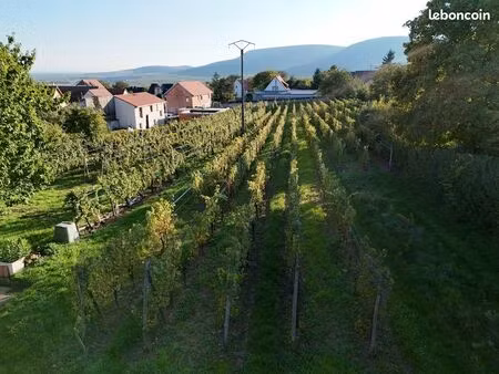 terrain constructible