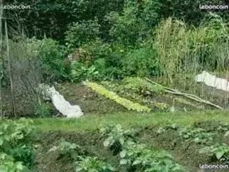 location jardin potager