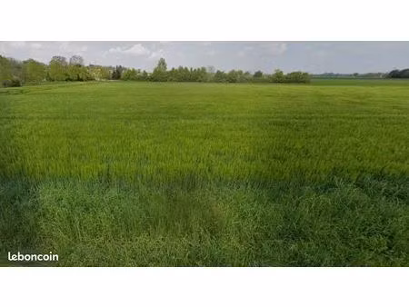 terrain 512 m² schlierbach