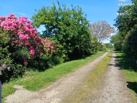 vente bretagne finistère
