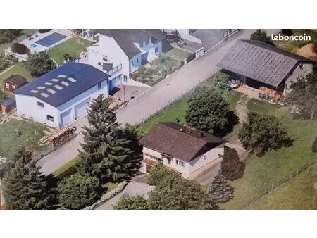 maison avec grand terrain  dépendance et fort potentiel sur hagenthal-le-bas