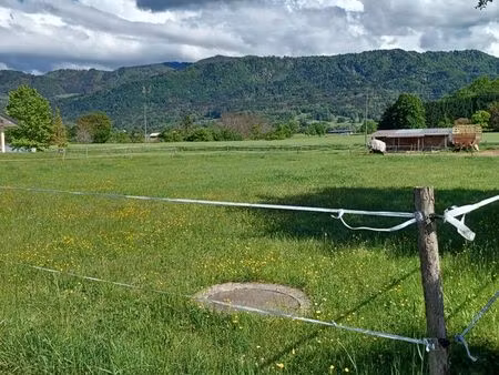 terrain constructible