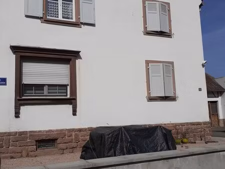 t4 à louer ammerschwihr