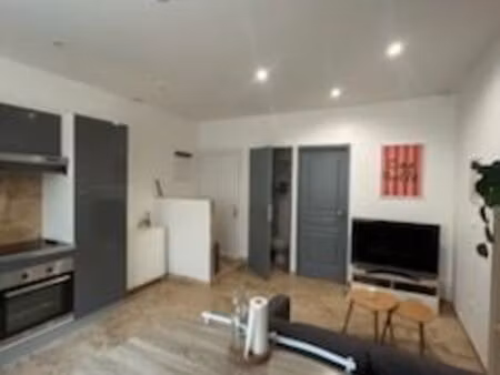 appartement rénové et meublé