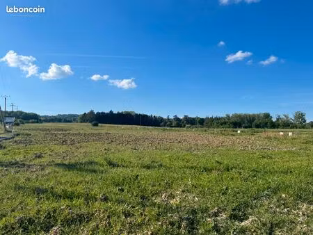 terrain 550 m² busque
