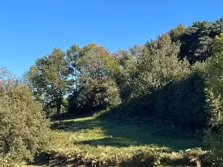 terrain constructible