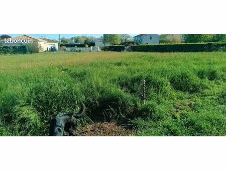 terrain à bâtir de 915 m² – sémalens