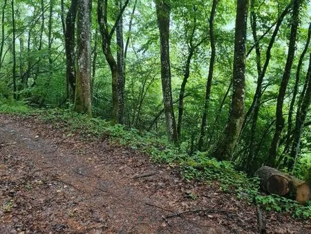 vend terrain et parcelles de bois