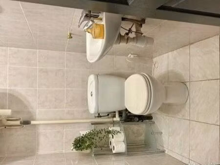 logement t1 bis à louer
