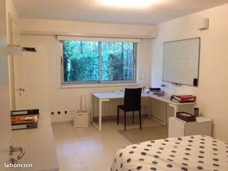 meublé 37 m² lycée kléber