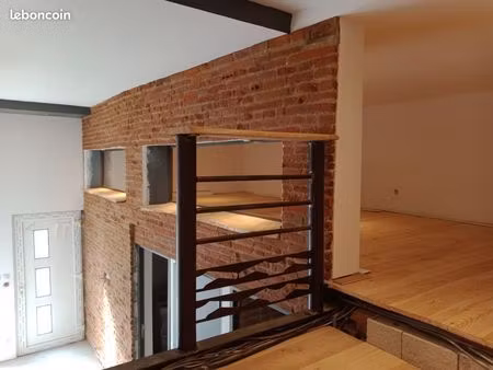 albi loue maison